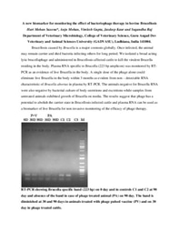 A new biomarker for monitoring efficacy of phage therapy